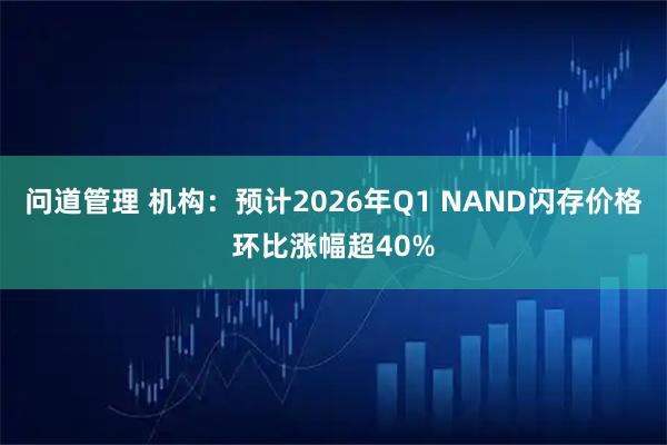 问道管理 机构：预计2026年Q1 NAND闪存价格环比涨幅超40%